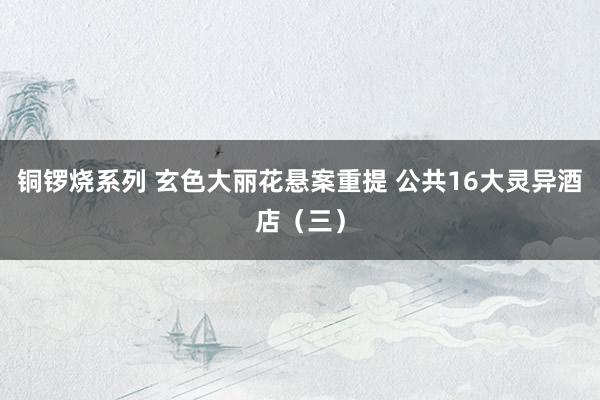 铜锣烧系列 玄色大丽花悬案重提 公共16大灵异酒店（三）