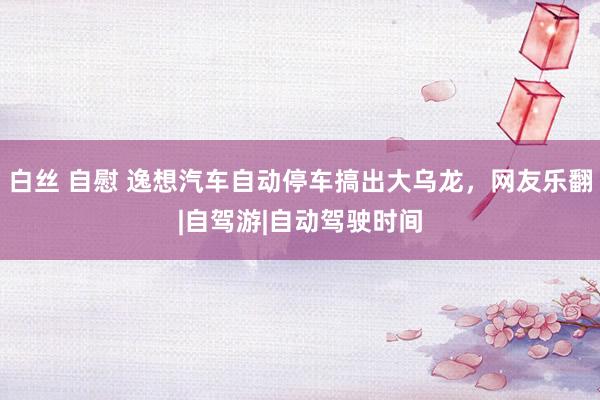 白丝 自慰 逸想汽车自动停车搞出大乌龙，网友乐翻|自驾游|自动驾驶时间