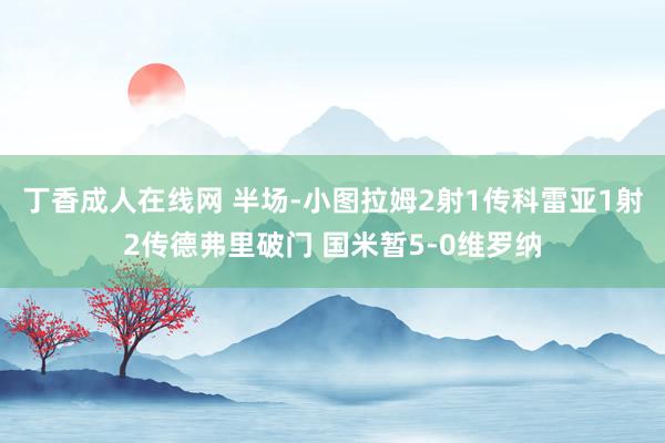 丁香成人在线网 半场-小图拉姆2射1传科雷亚1射2传德弗里破门 国米暂5-0维罗纳