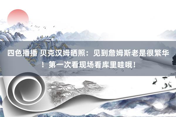 四色播播 贝克汉姆晒照：见到詹姆斯老是很繁华！第一次看现场看库里哇哦！